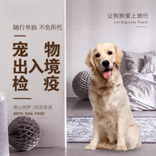 自贡市宠物托运到哥伦比亚猫狗宠物入境规定和