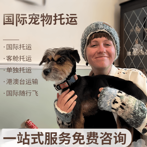 自贡市国际宠物托运到阿根廷宠物入境规定和要