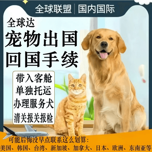 自贡市宠物托运到柬埔寨宠物入境规定和要求