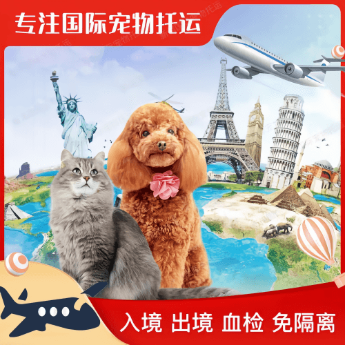 自贡市宠物托运到美国宠物入境最新规定和要求