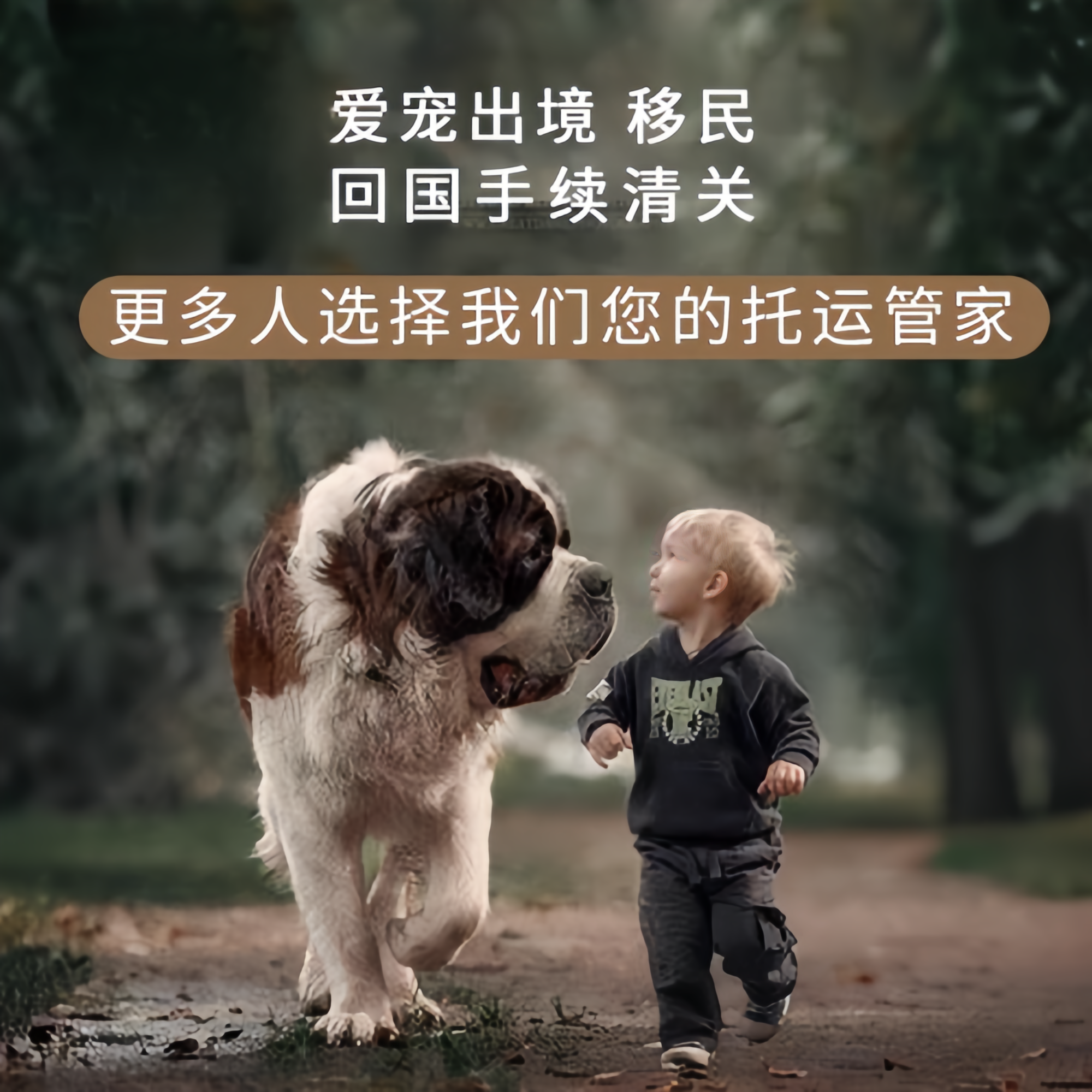 满财自贡市宠物全球达宠物托运在遵守入境目的地政策的条件
