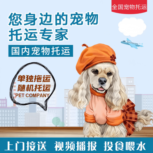 满财自贡市宠物全球达宠物托运作为专业的宠物运输代理机构